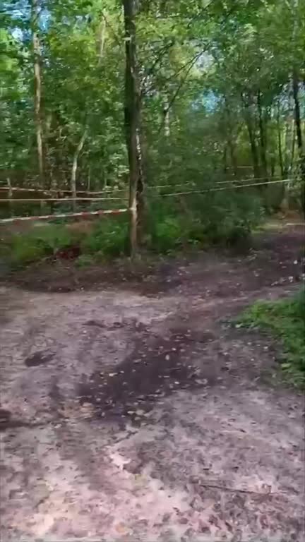 Leśny odcinek po deszczu — kadr z filmu